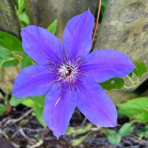 Meet your Posher, Posh